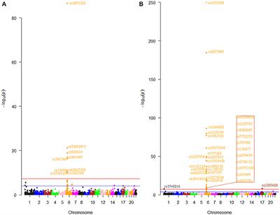 Genome-Wide Identification of N6-Methyladenosine (m6A) SNPs Associated With Rheumatoid Arthritis